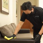 Sofa Wipe Down